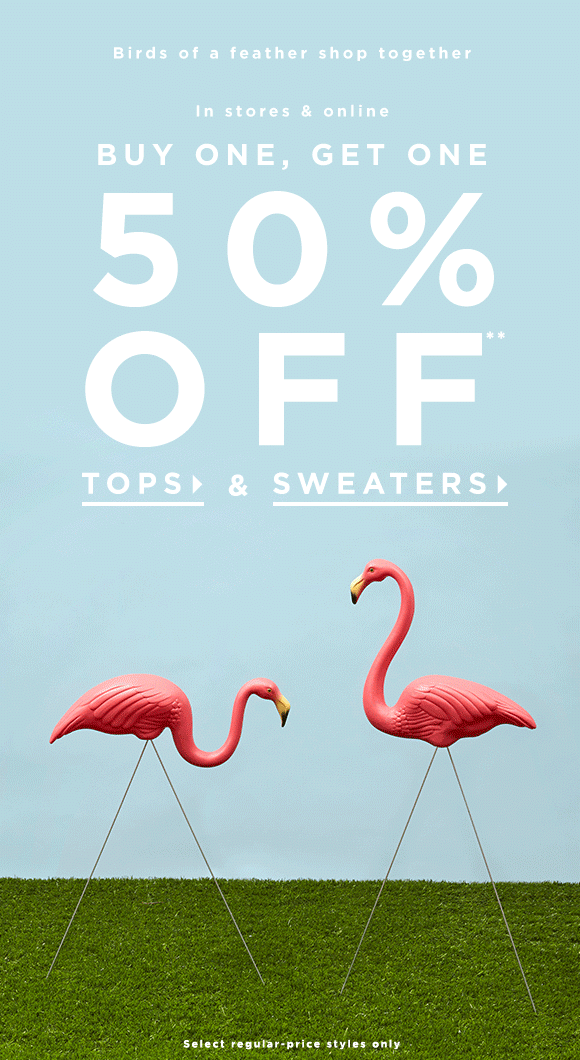 Summer GIF with the flamingos