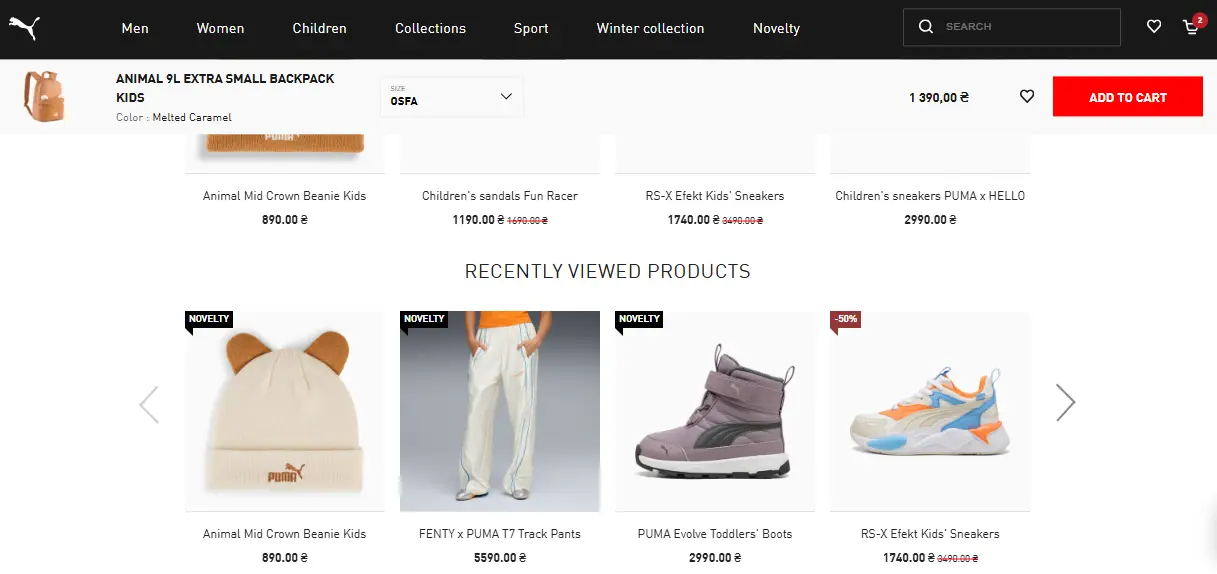 An example of a recommendation block on the website: “Recently viewed products”