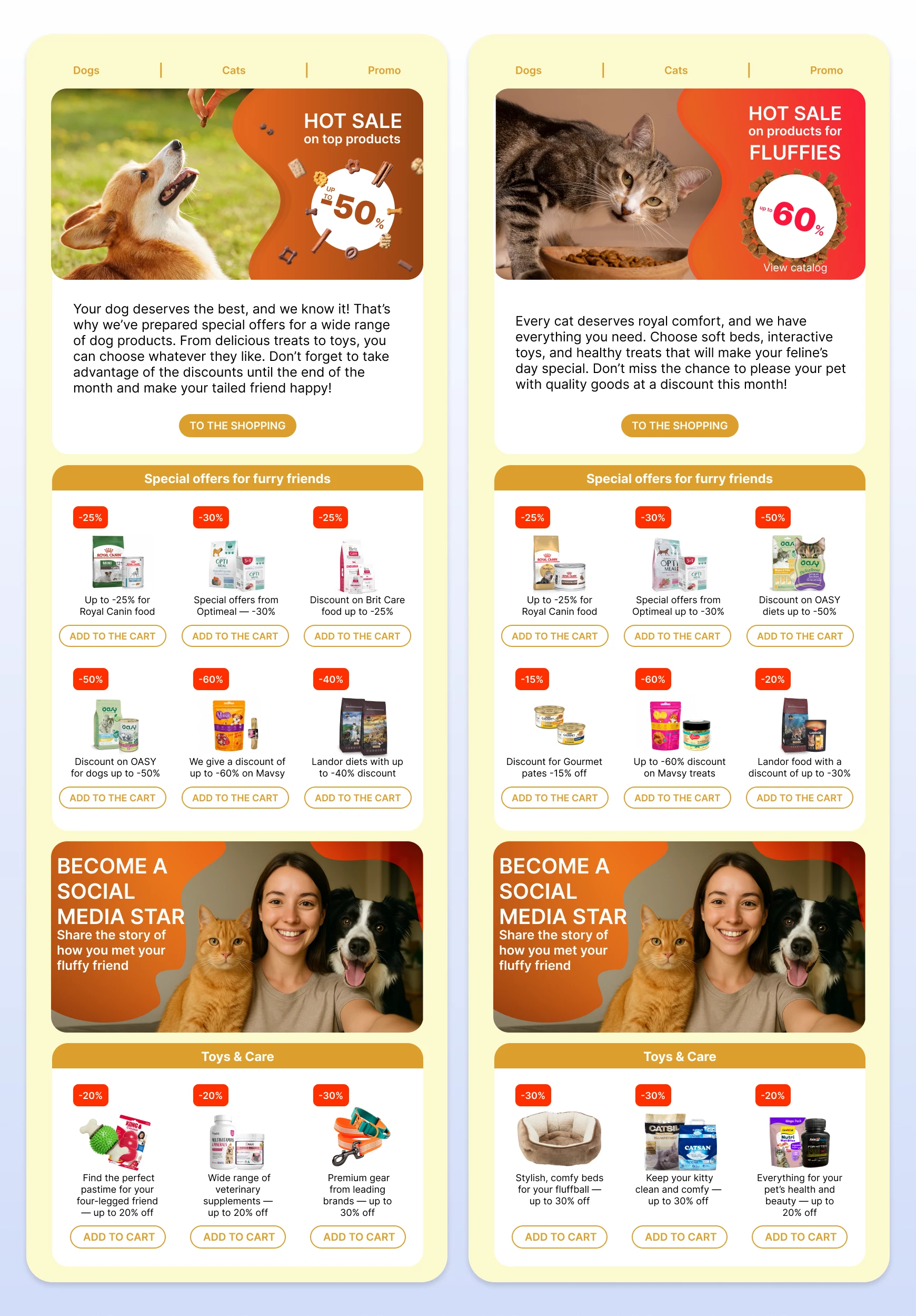 Example of segmented email campaigns
