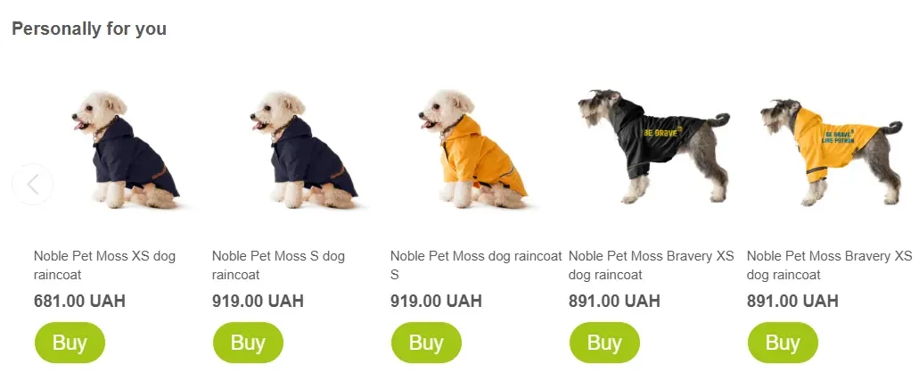 Personalized recommendations on a MasterZoo’s product page