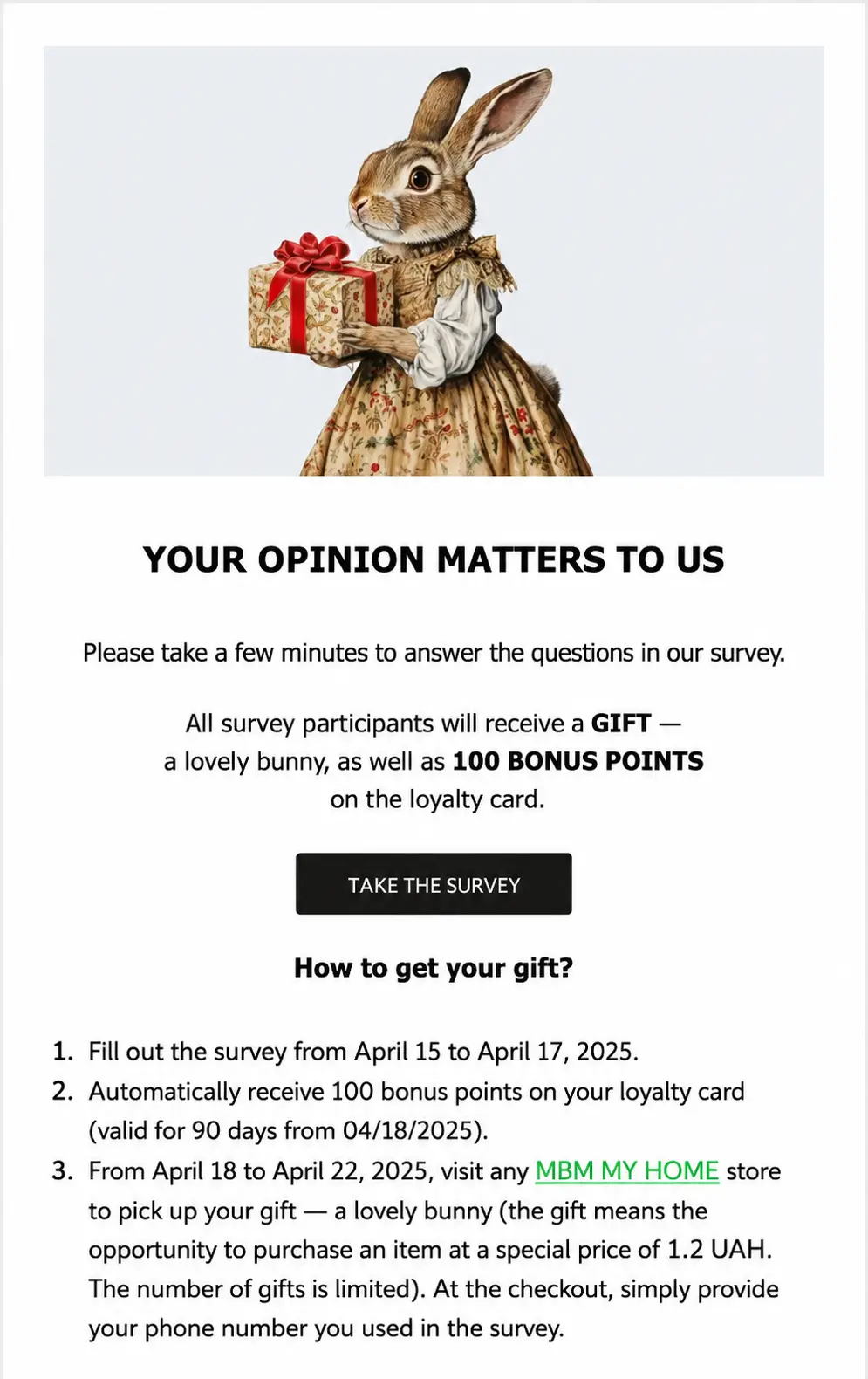 What the survey form looks like What the survey form looks like