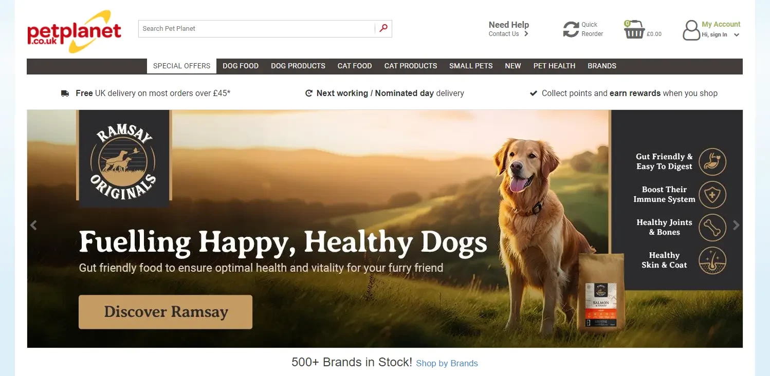 A header example for an online store