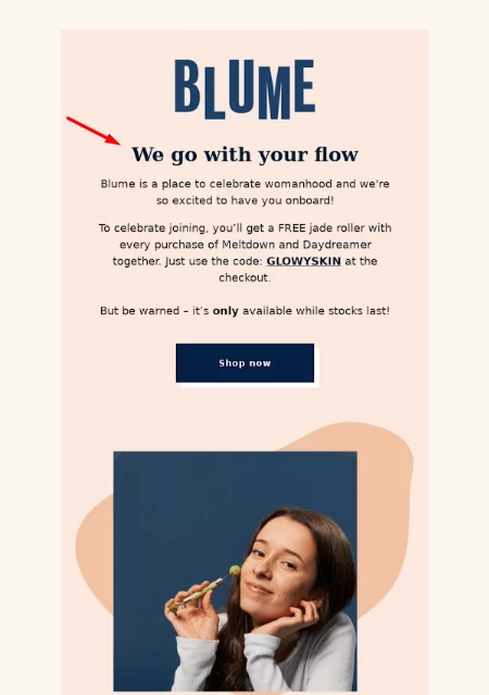 An example of a slogan placed in an email header