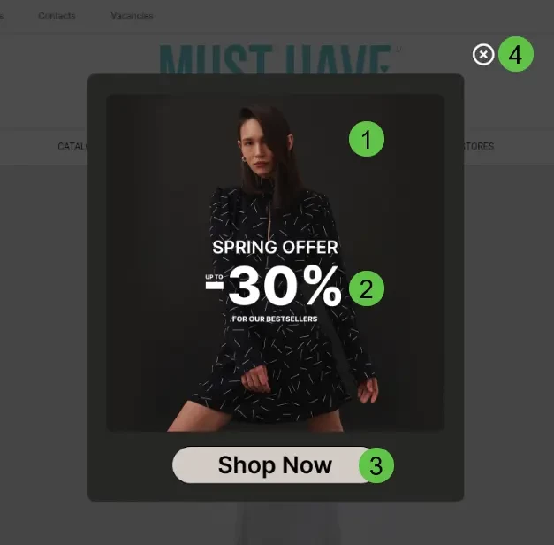 Common elements in a popup window